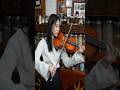 The making of a violin. A high-end Japanese violin handcrafted over six months by a master luthier.