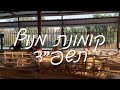 קומונת מנוף תשפ ד שיר מלששים היא רק רוצה מנוף קומונת מנוף תשפ ד שיר מלששים היא רק רוצה מנוף