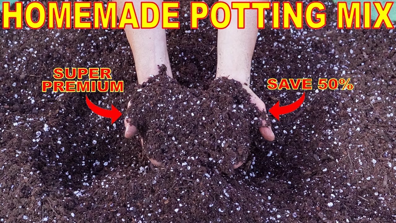 How to make your own potting mix / RHS Gardening