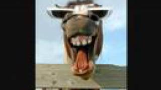 My Future Plansfunny 