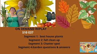 Audio S10E37 Best house plants, fall clean up, Chatter spot, garden Q&A - Garden talk radio