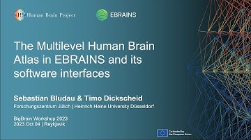 7th BigBrain Workshop 2023 Day 1 Siibra