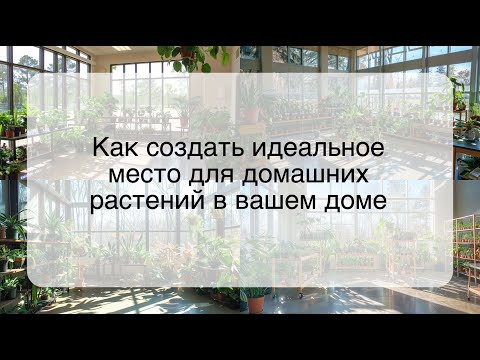 Как создать идеальное место для домашних растений в вашем доме