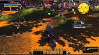 RaiderZ beginner main quest