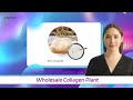 Wholesale collagen plant