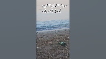 تلاوه خاشعة من القرآن الكريم بصوت♥️ #اكسبلور #المصحف #cat # جميل للشيخ محمد الحيدان 🌹