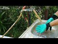 Garden Gloves with Claws - easy to wash