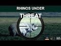 Rhinos under threat (Not recommended for children)