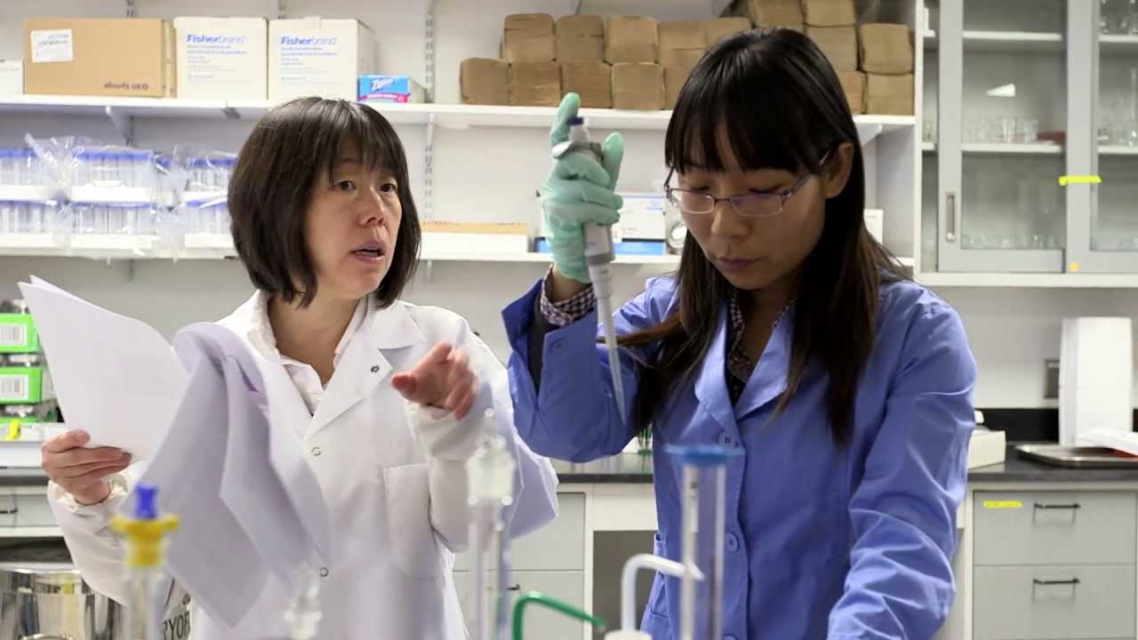 polytechnic institute of new york Virginia Tech: Environmental Sciences