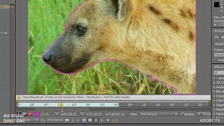 Advanced Roto Brush in After Effects
