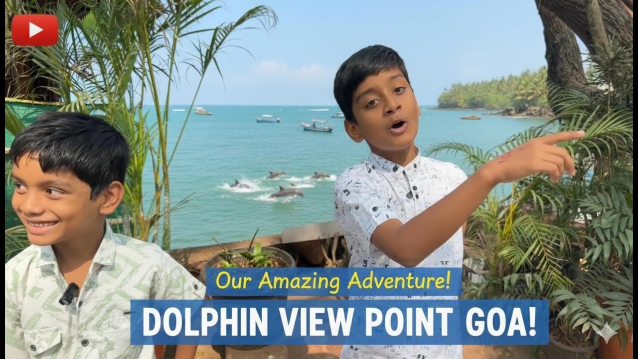 Dolphin view point Goa | Goa best dolphin watching point ...