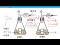 高校生物「呼吸商の計算（実験から呼吸商を求める）」