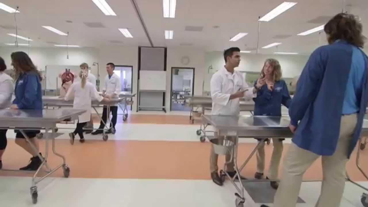 College of Medicine & Dentistry - YouTube