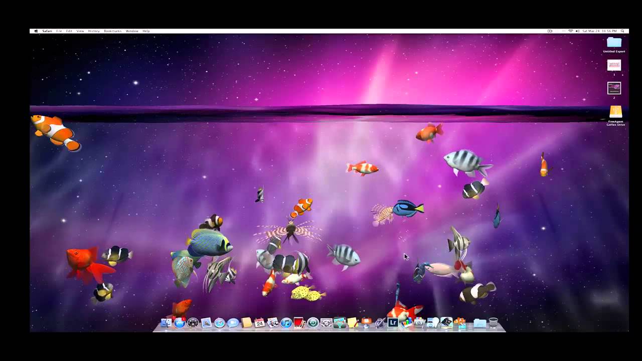 Mac デスクトップに無数の魚を泳がせて水族館の様に出来るアプリ Desktop Aquarium 3d が期間限定で無料セール中 pl Ch