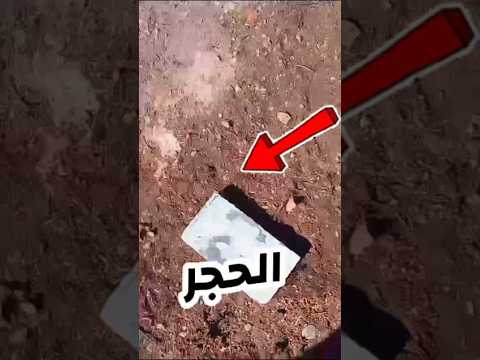 اول مره برسم على حجر بالشارع ما توقعت النتيجة لايك اشتراك