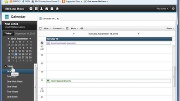 IBM Connections 4.0   Use Calendar Views