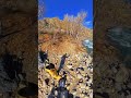 Горный Алтай. Чуйский тракт. Ильгуменьский порог#алтай #горныйалтай#чуйскийтракт #ильгуменский_порог