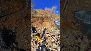Горный Алтай. Чуйский тракт. Ильгуменьский порог#алтай #горныйалтай#чуйскийтракт #ильгуменский_порог
