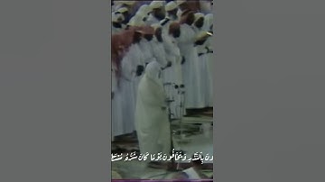 سورة الإنسان(٥-١١)للشيخ علي جابر رحمه الله #قرآن #الحرم_المكي