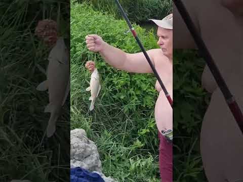 ах, какие они