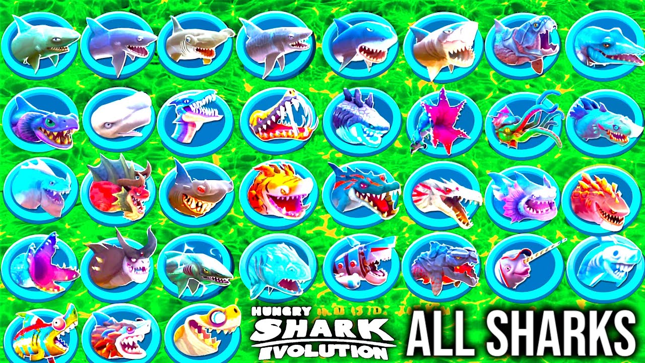 ALL SHARKS UNLOCKED & FACTS IN HUNGRY SHARK EVOLUTION GAMEPLAY - YouTube
