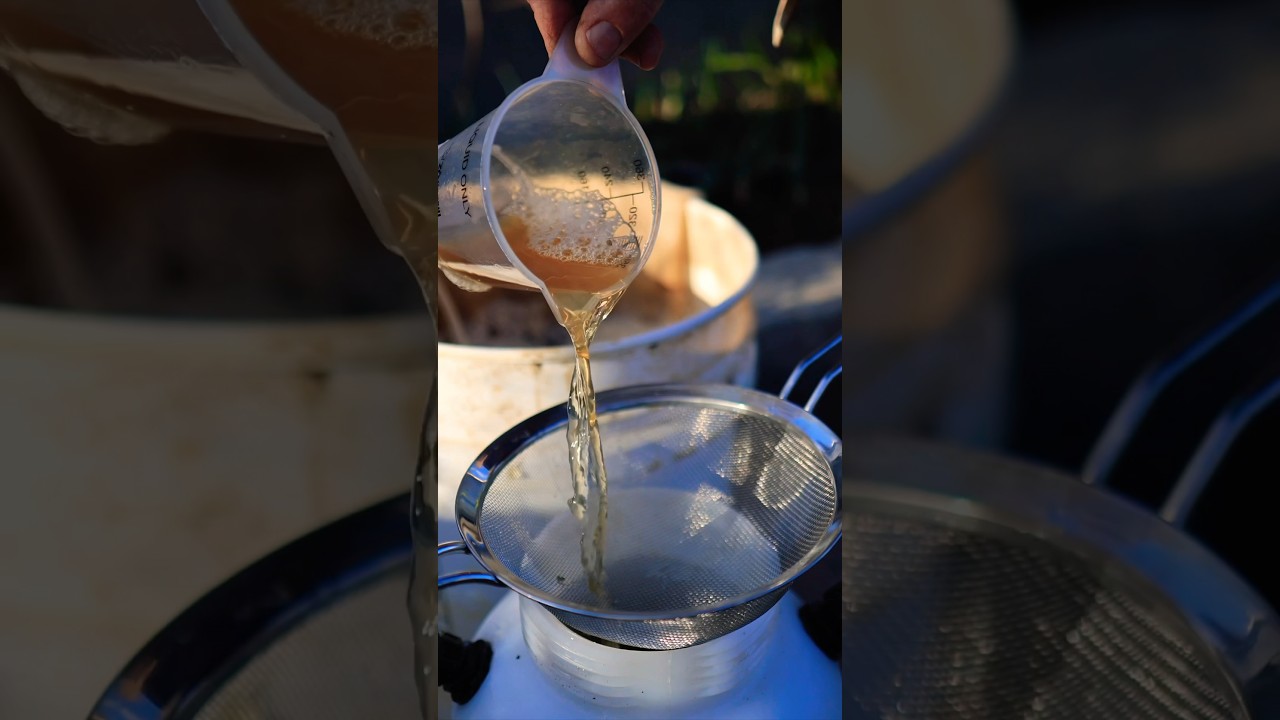 Making Compost Tea Helps Increase Vegetable Yields