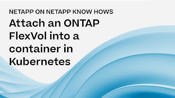 How to attach an ONTAP FlexVol into a container in Kubernetes