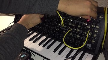Korg MS-20 mini improvisation