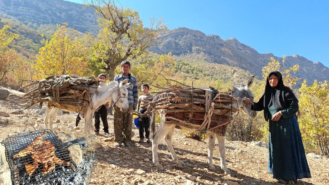 Nomadic life in Iran 🇮🇷 | Collecting 🐴 firewood 🔥 and simple life in ...