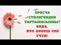 Тартынчаактыкты жеңүү жолу