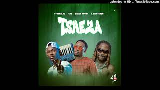 DJ Renaldo Feat DJ Sibula & Suintement -Tsheza Resimi