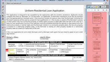 Using Brava! in the Review Process