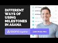 Different ways to use milestones in Asana