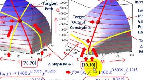 Linear Programming (Production Function Directional Derivative Visual Understanding & Calculations)
