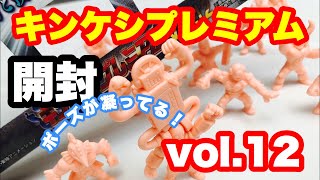 【開封】キンケシプレミアムvol 12 キン肉マン　キン消し