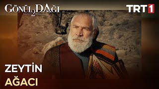 Bizim Vazifemiz Yaşamak - Gönül Dağı 50. Bölüm