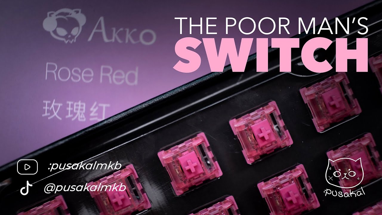 Akko CS Rose Red Stock, Lubed, Spring Swapped on Rakk Ilis Outemu Socket