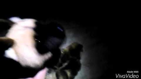 MEP Part 9 for Fierydog 202