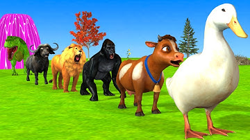 سورة البقرة - تلاوة مرتلة بصوت الشيخ ياسر الدوسري