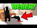 BEBEKLE FİZİK OYUNU OYNAMAK! (Komik Anlar)