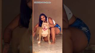 #viralshort #pitbull #dog #viral #trending