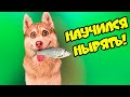 ХАСКИ НА РЫБАЛКЕ!! Я НАУЧИЛСЯ НЫРЯТЬ! (Хаски Бублик) Говорящая собака