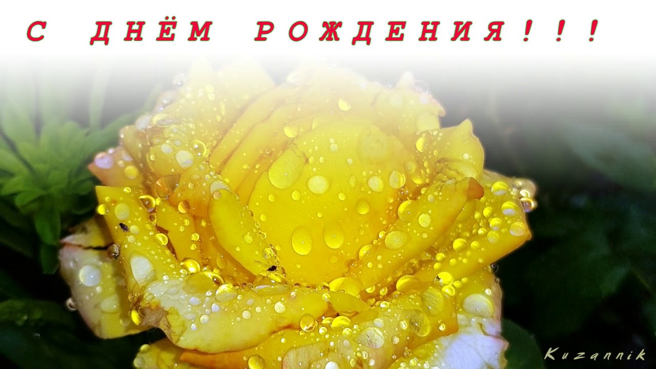 Поздравления С Днем Рождения Дочери Аня Поздравления С Днем Рождения Дочери Аня