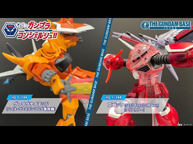 HG1/144グフイグナイテッド(ハイネ・ヴェステンフルス専用機)/HG 1/144