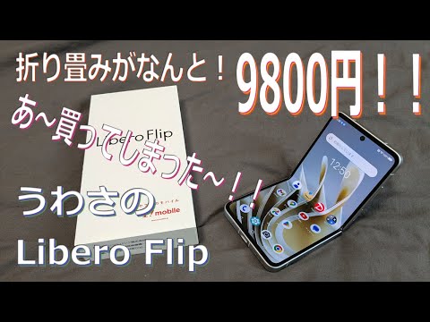 ZTE -  【お値下げ中です】 Libero Flip 美品 ZTE 安心の1年保証！未使用品 Libero Flip A304ZT 128GB