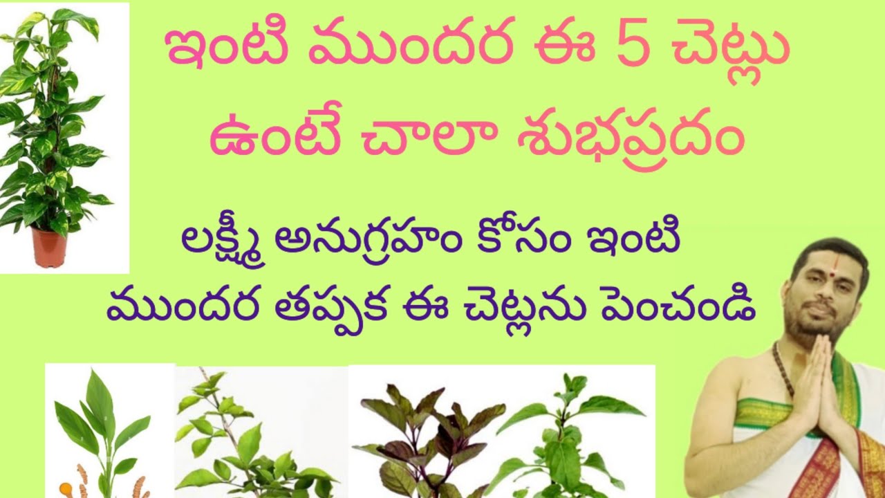 ఇంటి ముందర ఈ 5 చెట్లు ఉంటే లక్ష్మీదేవి అనుగ్రహం తప్పకుండా కలుగుతుంది.