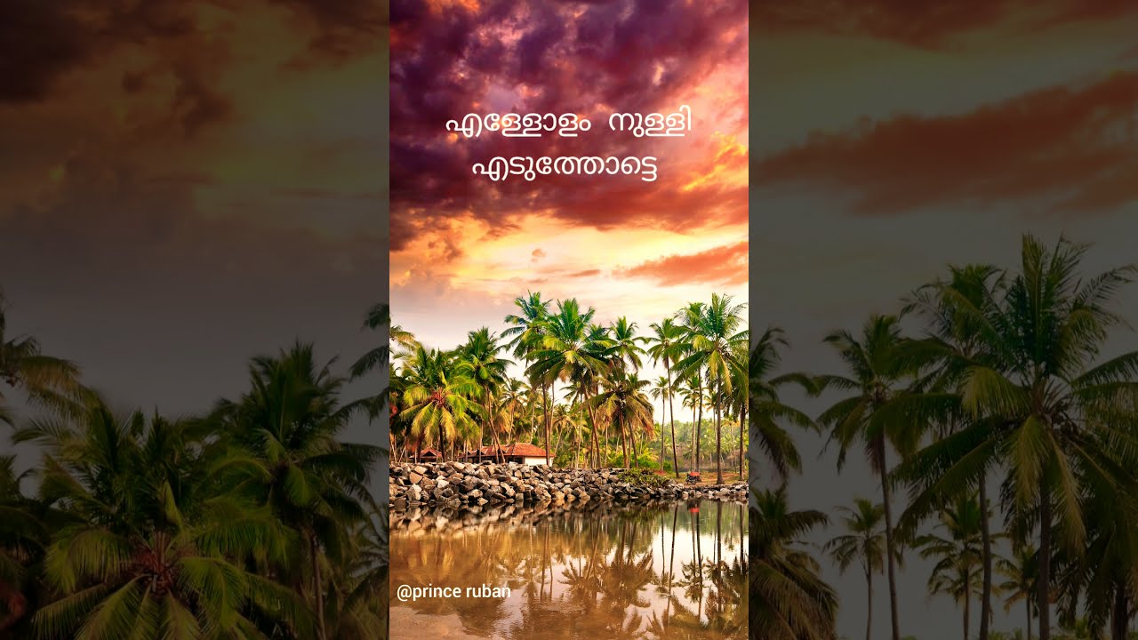 Nadodi poonthinkal status video song YouTube