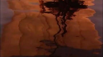 XENIA REAPER - o_down