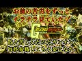 【ゆっくり実況】サービス終了直前ガンオン毎秒参戦してもう楽になれ【biimシステム】ホモと見る鬼頭戦士ガンボルオォンアオォン裸淫夢【機動戦士ガンダムオンライン】Gundamonline
