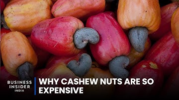 Why Cashew Nuts Are So Expensive | So Expensive